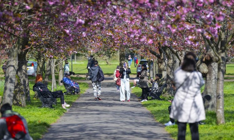 Londra’da bahar yüzünü göstermeye başladı, parklar coştu